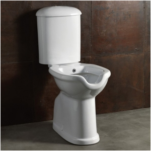 Water/bidet Comfort monoblocco disabili scarico parete con cassetta di scarico cm. 71,8x38 bianco di Ceramica Alice