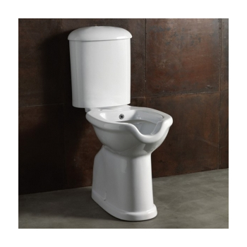 Water/bidet Comfort monoblocco disabili scarico parete con cassetta di scarico cm. 71,8x38 bianco di Ceramica Alice